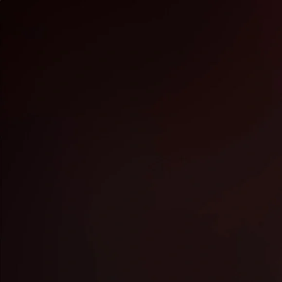 Black and Silver Flats - Picture 5 of 5